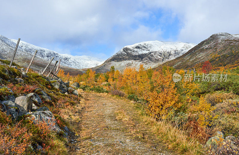 挪威Hemsedal Buskerud的秋季山景小径